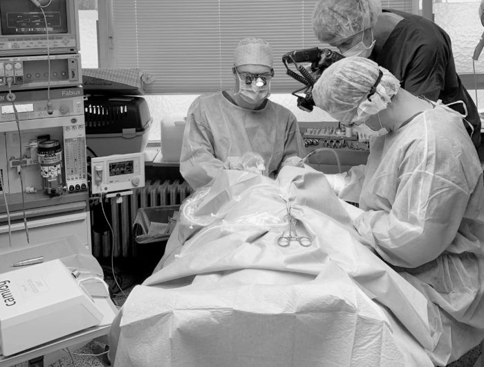 Dentists in surgery
