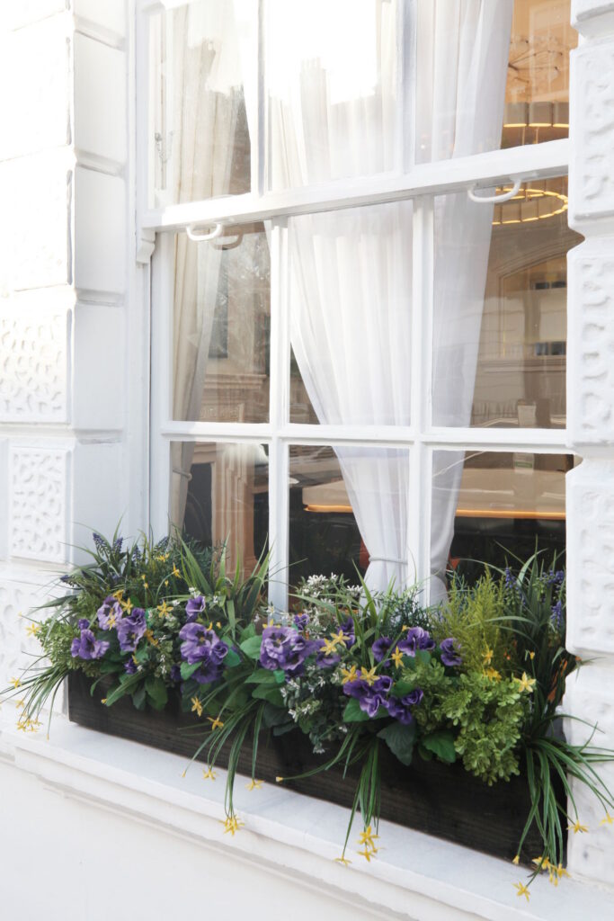 42 B Window Natural Light Play